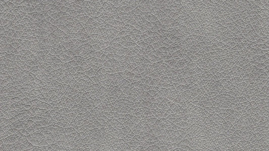 W.SCHILLIG broadway Nierenkissen UN70. Leder Z69 (Farbe wählbar) - Komfortmöbel24