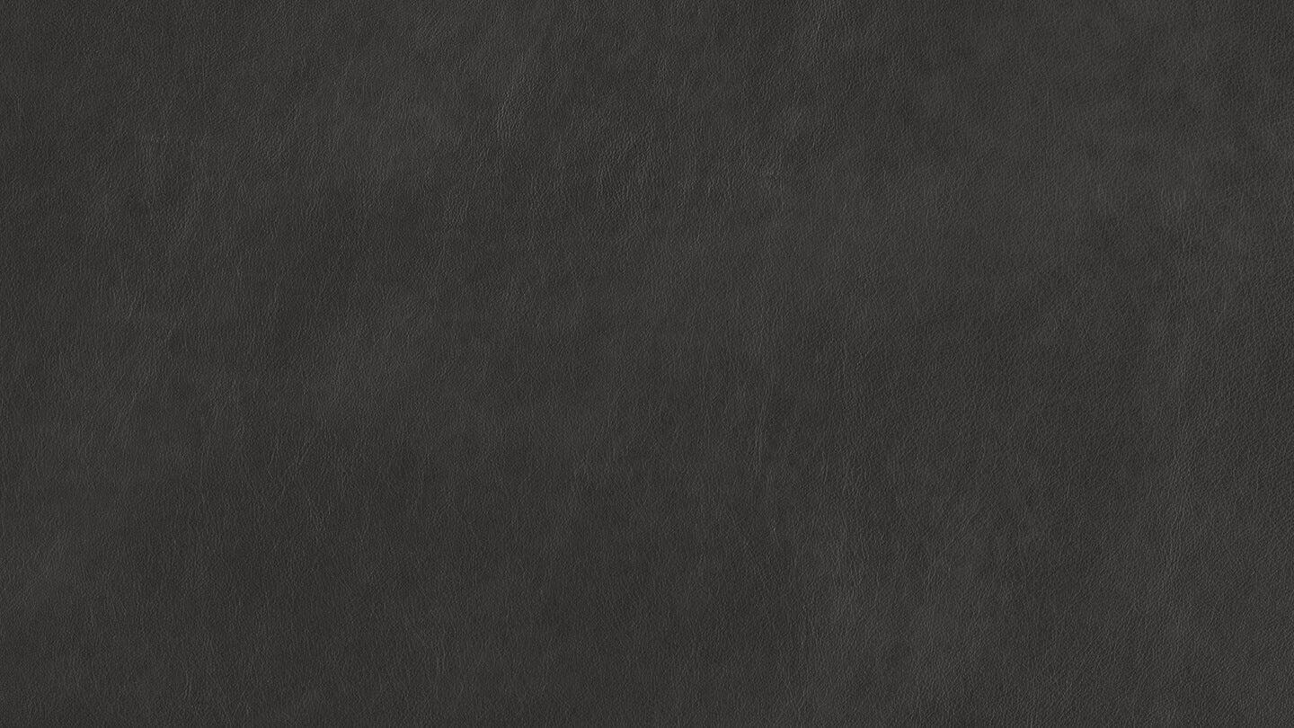 W.SCHILLIG broadway Nierenkissen UN70. Leder Z69 (Farbe wählbar) - Komfortmöbel24