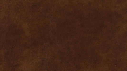 W.SCHILLIG Hocker broadway 16777 G140 Leder Z69/51 tobacco