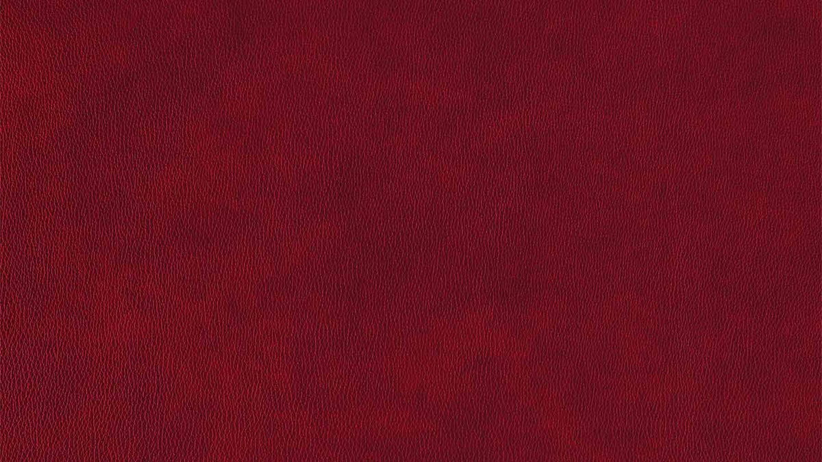 W.SCHILLIG Longchair piedroo plus 21156 (B=303 cm) Leder Z75/12 merlot