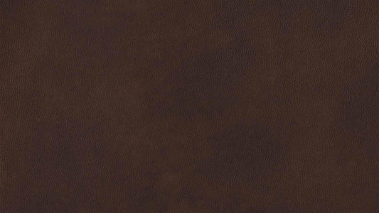 W.SCHILLIG Sofa taboo 22070 PL Leder Z75/55 espresso