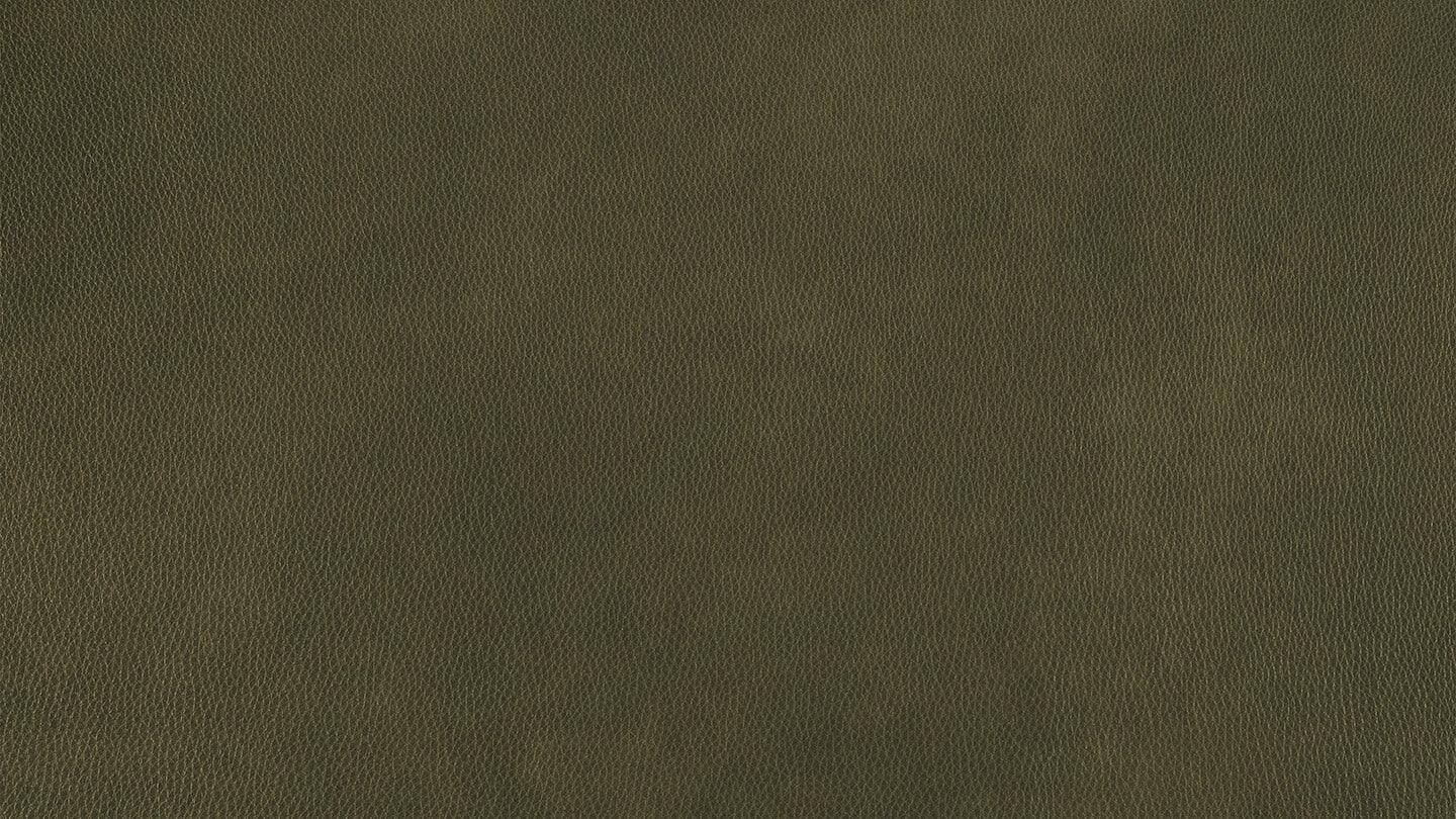 W.SCHILLIG Relax-/Funktionssessel dante 32700 MDR Leder Z75/36 camouflage - Komfortmöbel24