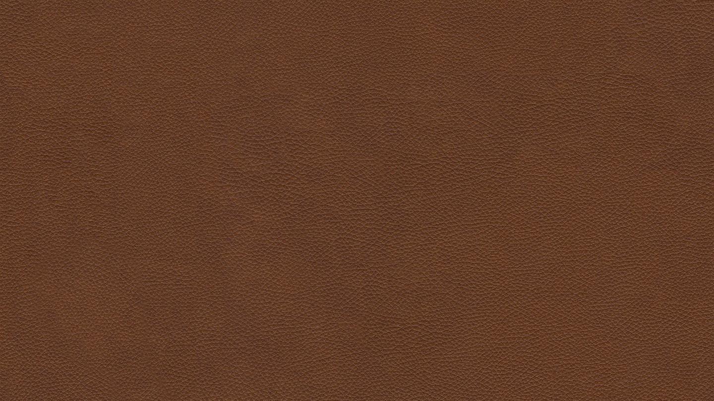 W.SCHILLIG Longchair broadway 16777 (B 291 cm) Leder Z75/50 cognac KF#265 - Komfortmöbel24