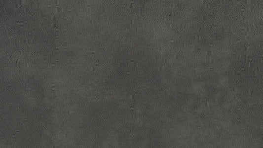 W.SCHILLIG Longchair caroline 16567 Leder Z75/95 anthracite - Komfortmöbel24