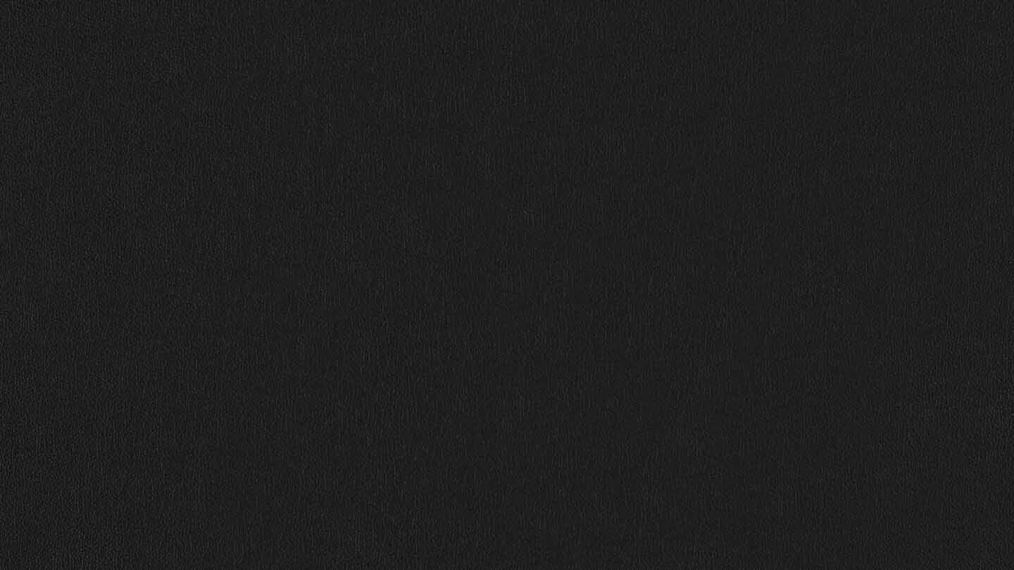 W.SCHILLIG Longchair seventy5 16741 (B=312 cm) Leder Z59/99 schwarz