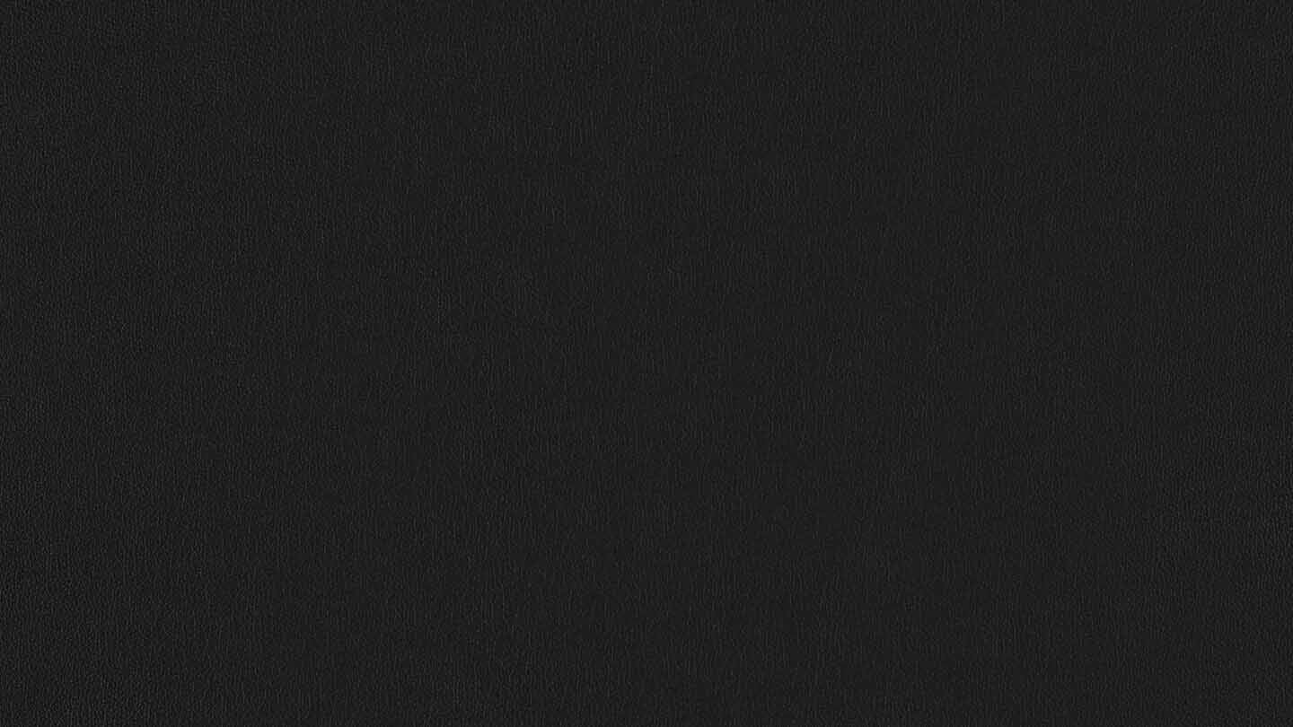 W.SCHILLIG Nierenkissen broadway 16777 UN70. Leder Z59/99 schwarz