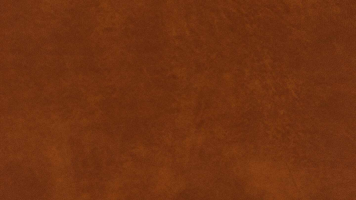 W.SCHILLIG Einzelsessel/Funktionssessel cloud9 - 31800 MD Leder Z69/50 cognac mit Hocker