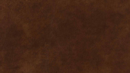 W.SCHILLIG Sofa broadway 16777 NL70 Leder Z69/51 tobacco