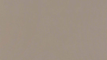 W.SCHILLIG Einzelsessel/Funktionssessel cloud9 - 31800 MD Leder Z73/49 taupe mit Hocker