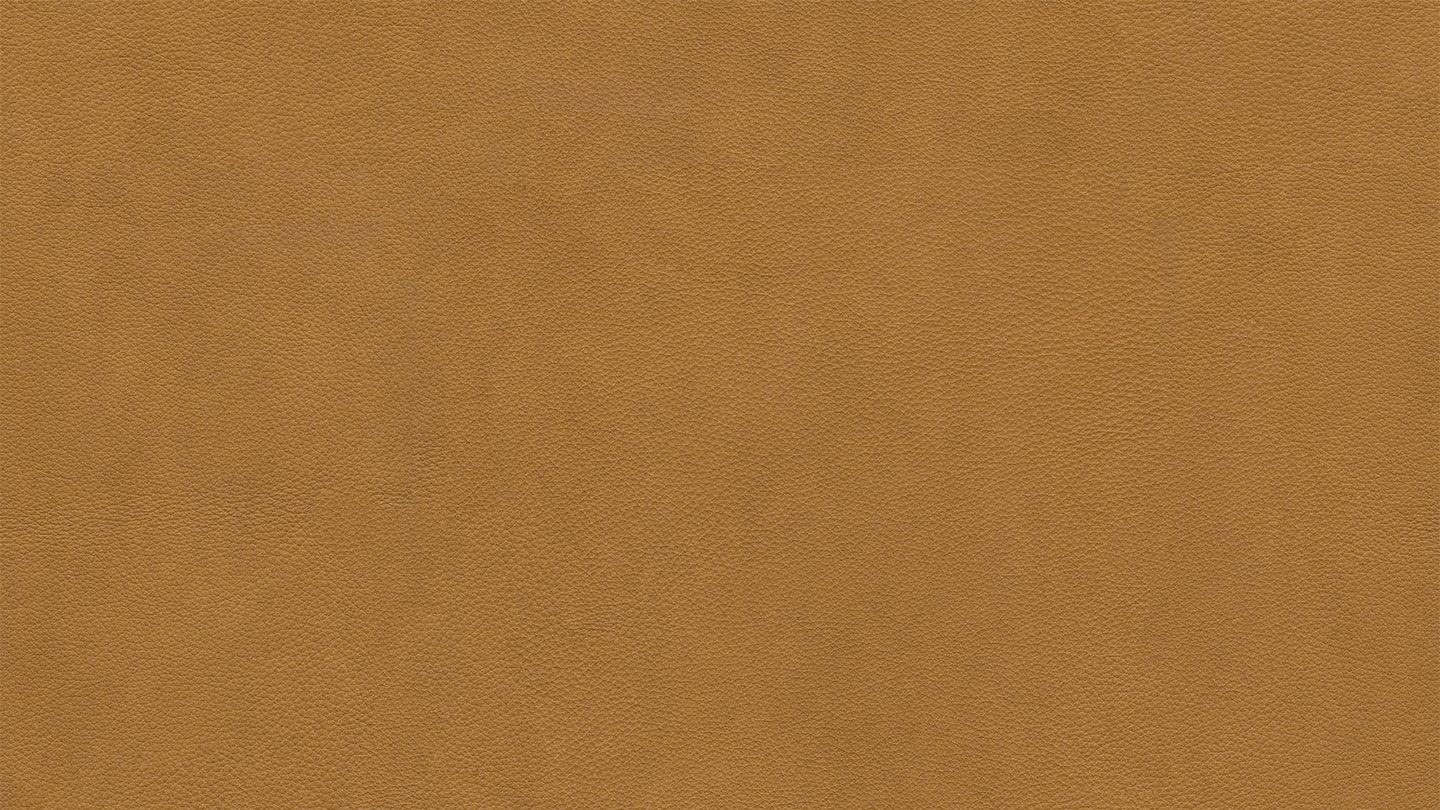 W.SCHILLIG Longchair seventy5 16741 Leder Z75/52 kurkuma - Komfortmöbel24