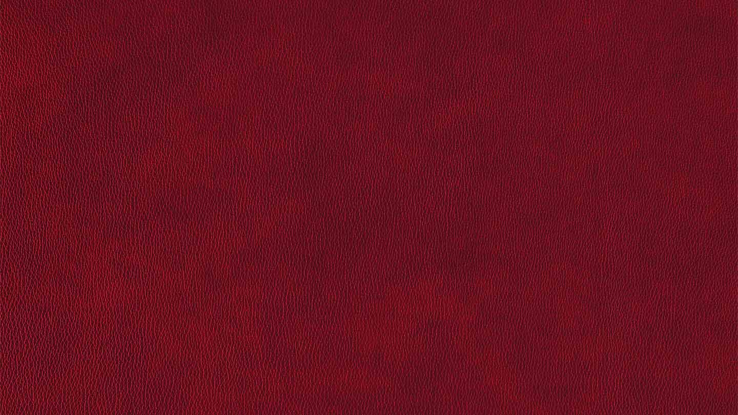 W.SCHILLIG Relax-/Funktionssessel dante 32700 MDR Leder Z75/12 merlot
