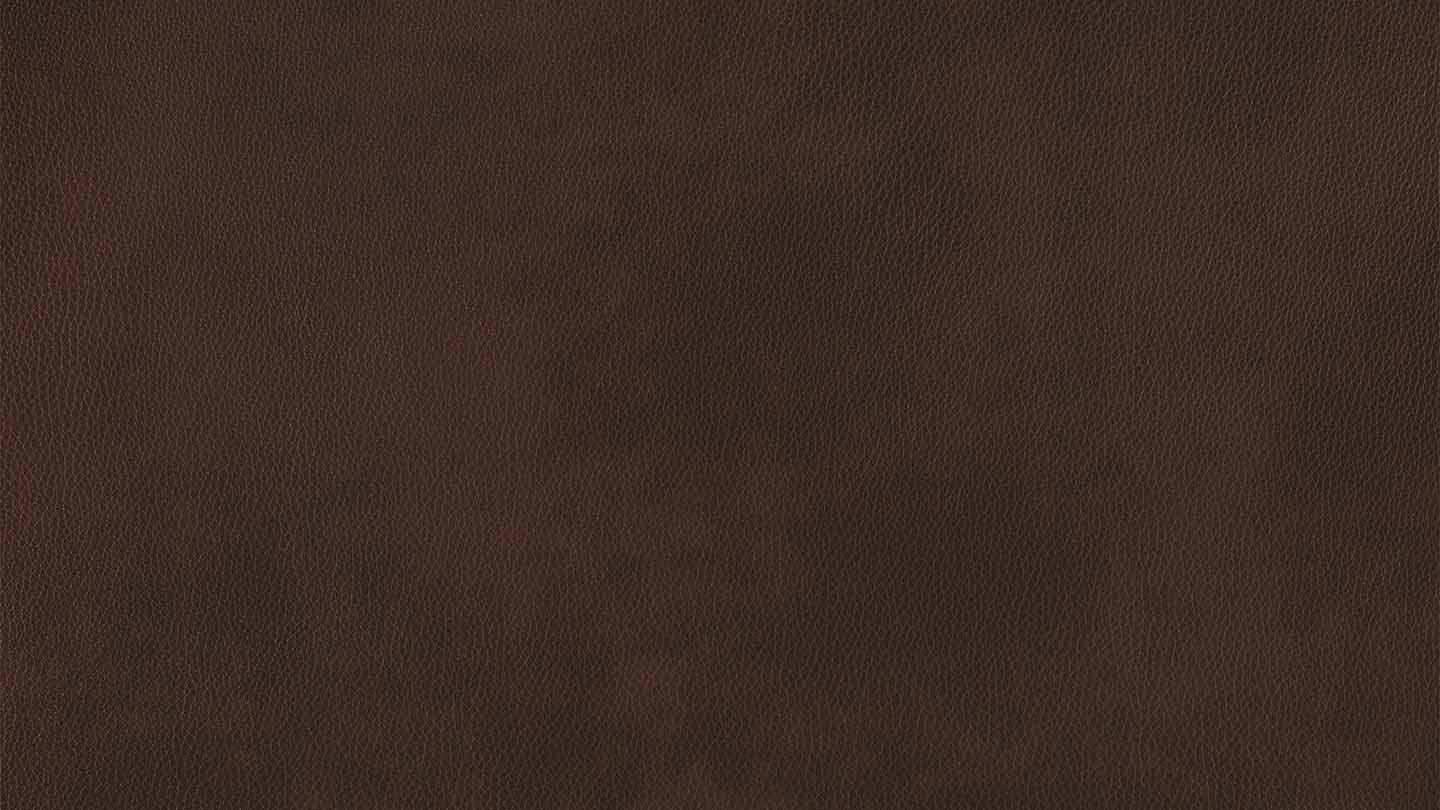 W.SCHILLIG Sofa taboo 22070 PL Leder Z75/55 espresso