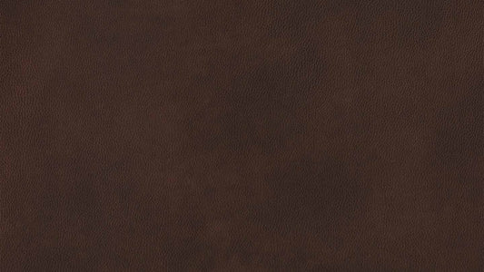 W.SCHILLIG Sofa taboo 22070 PL Leder Z75/55 espresso