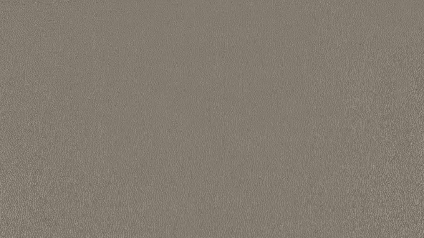 W.SCHILLIG Hocker broadway 16777 G120 Leder Z77/25 elephant grey