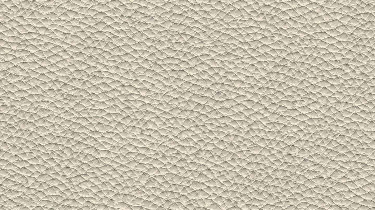 W.SCHILLIG Sofa dwayne 34000 Leder Z84/43 ivory