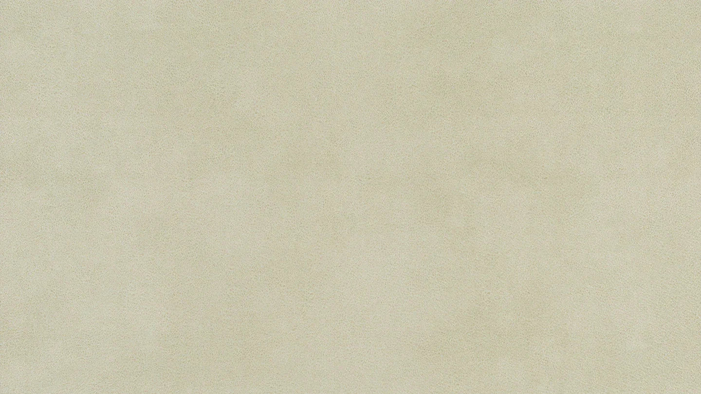 W.SCHILLIG broadway Nierenkissen UN80. Stoff S37 (Farbe wählbar) - Komfortmöbel24