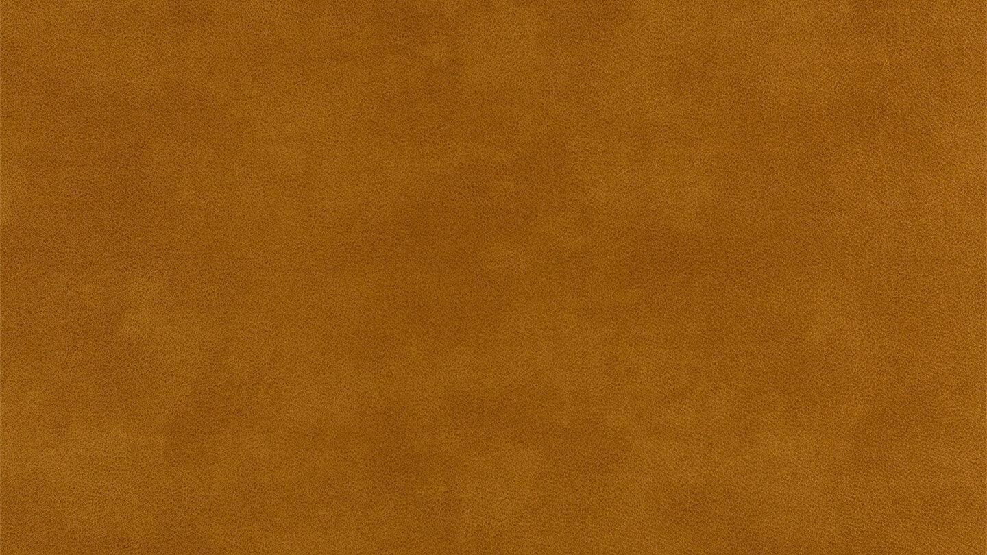 W.SCHILLIG broadway Nierenkissen UN80. Stoff S37 (Farbe wählbar) - Komfortmöbel24