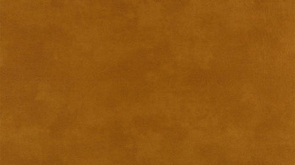 W.SCHILLIG broadway Nierenkissen UN80. Stoff S37 (Farbe wählbar) - Komfortmöbel24