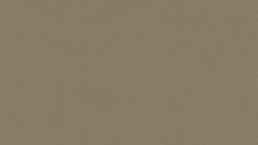 W.SCHILLIG Longchair dwayne 34000 Leder Z77/20 cloud